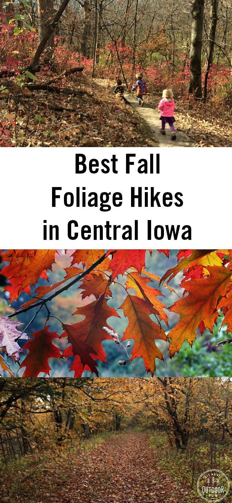 Places to see fall leaves around Des Moines, Iowa -- tips for fall foliage in Central Iowa!