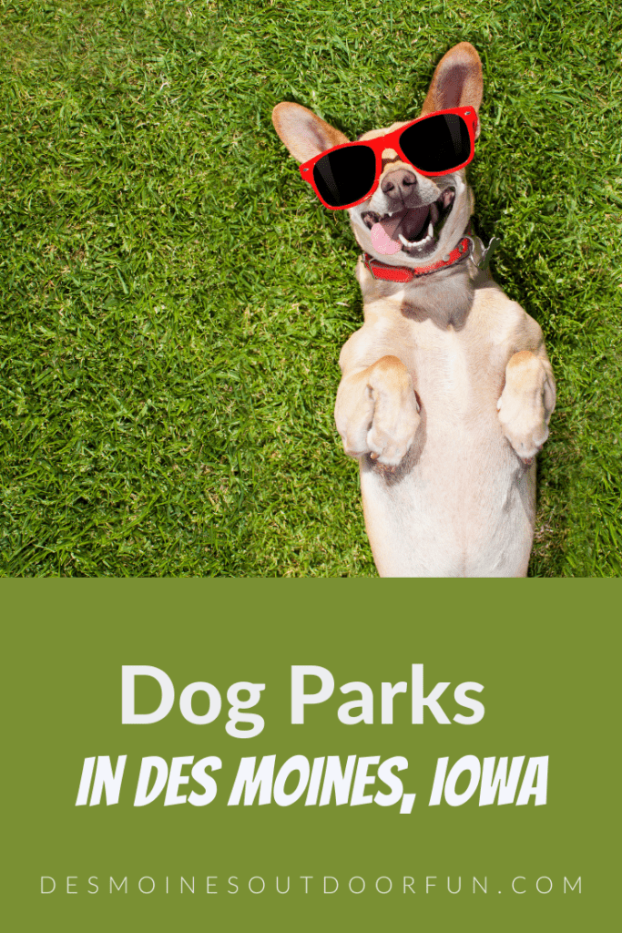 Des Moines, Iowa, Dog Parks, Des Moines Dog Parks, Kinship Brewing